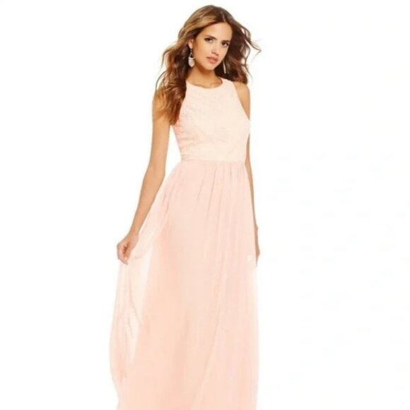 GIANNI BINI Lorena Lace Embroidered Sleeveless Chiffon Dress Gown in Petal Pink - Picture 7 of 16